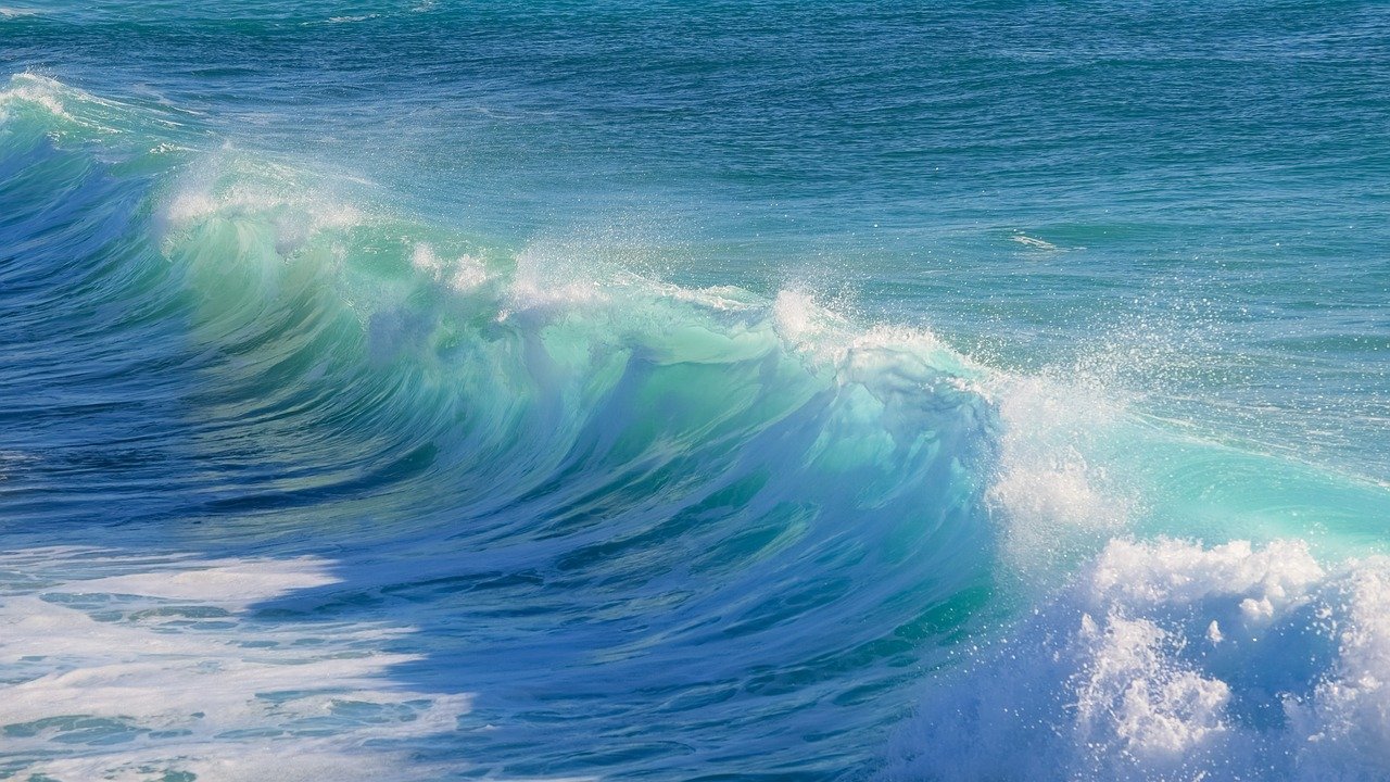 surf, water, wave